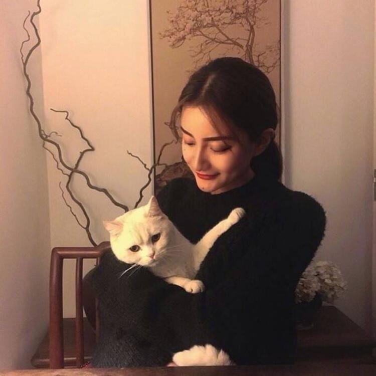 则座诚 - 动画电影国语在线观看 - 电脑观影